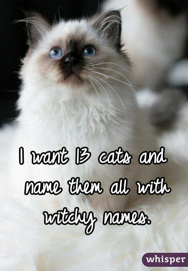I want 13 cats and name them all with witchy names.