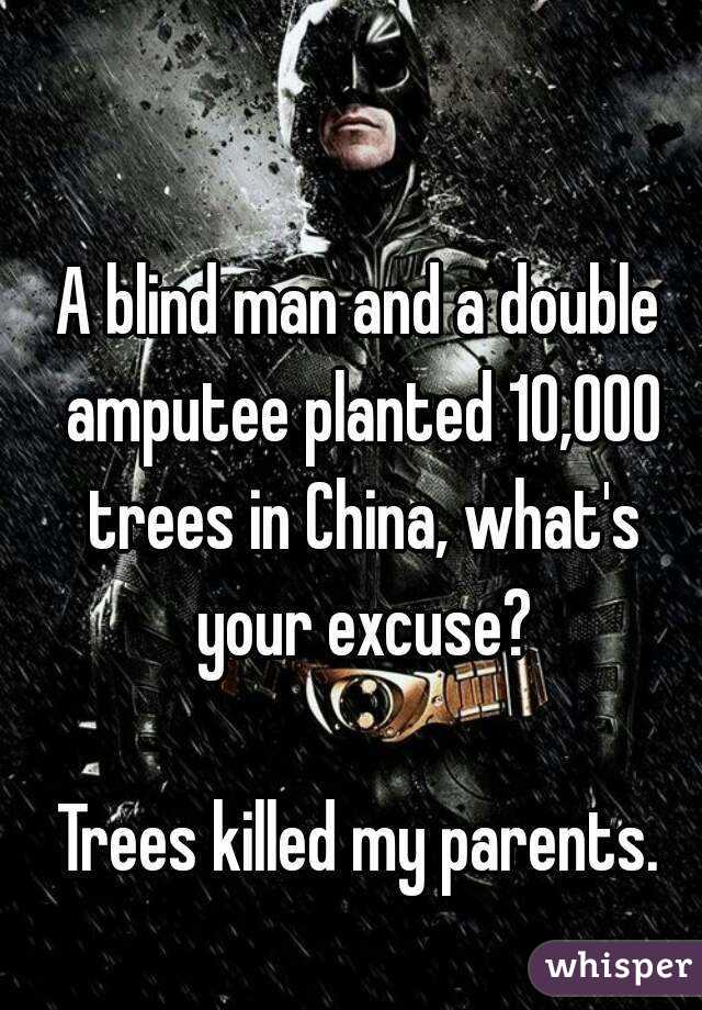 A blind man and a double amputee planted 10,000 trees in China, what's your excuse?

Trees killed my parents.