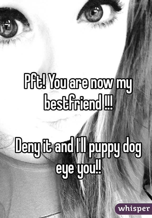 Pft! You are now my bestfriend !!!

Deny it and I'll puppy dog eye you!!