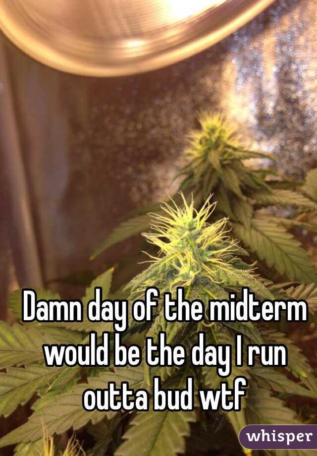 Damn day of the midterm would be the day I run outta bud wtf