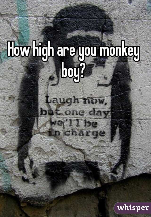 How high are you monkey boy? 