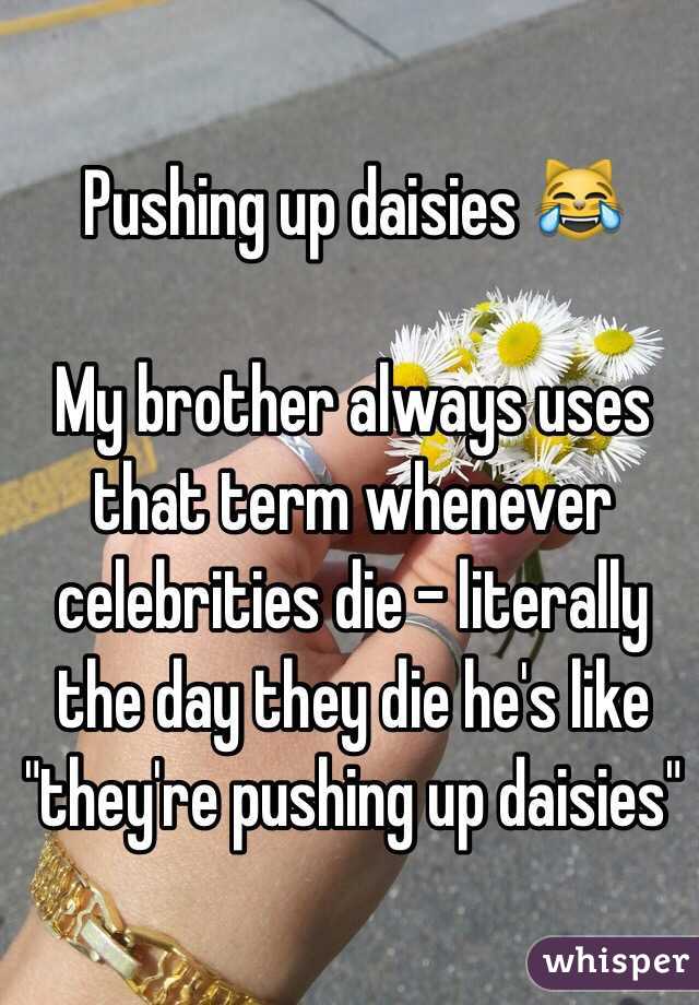 Pushing up daisies 😹

My brother always uses that term whenever celebrities die - literally the day they die he's like "they're pushing up daisies"