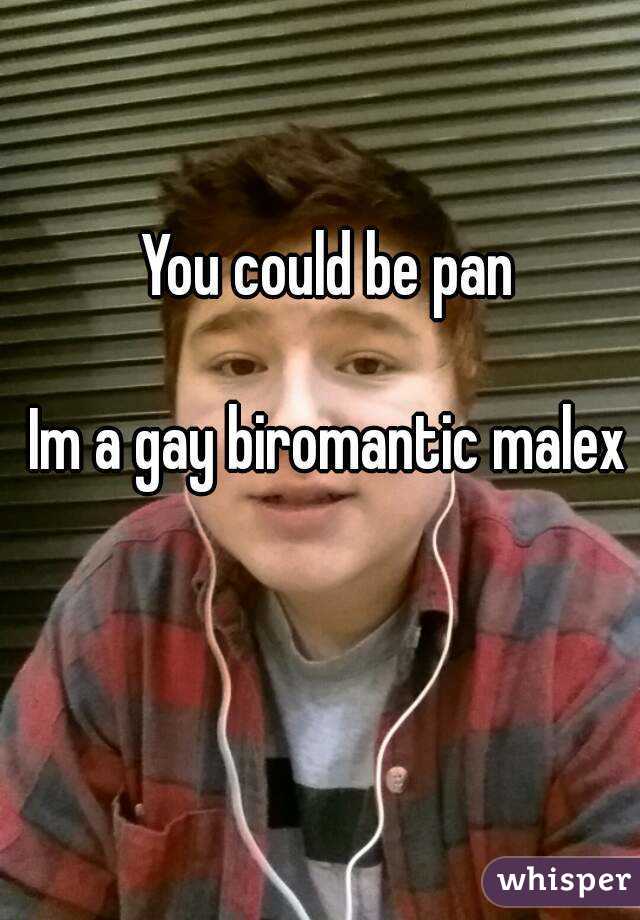 You could be pan

Im a gay biromantic malex