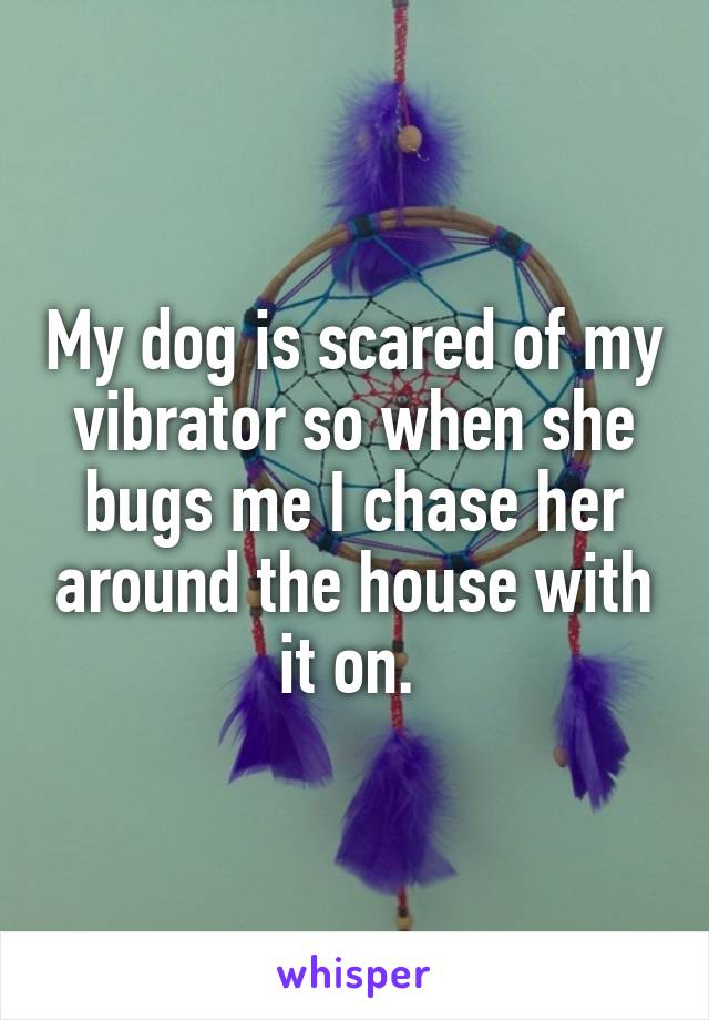 My dog is scared of my vibrator so when she bugs me I chase her around the house with it on. 
