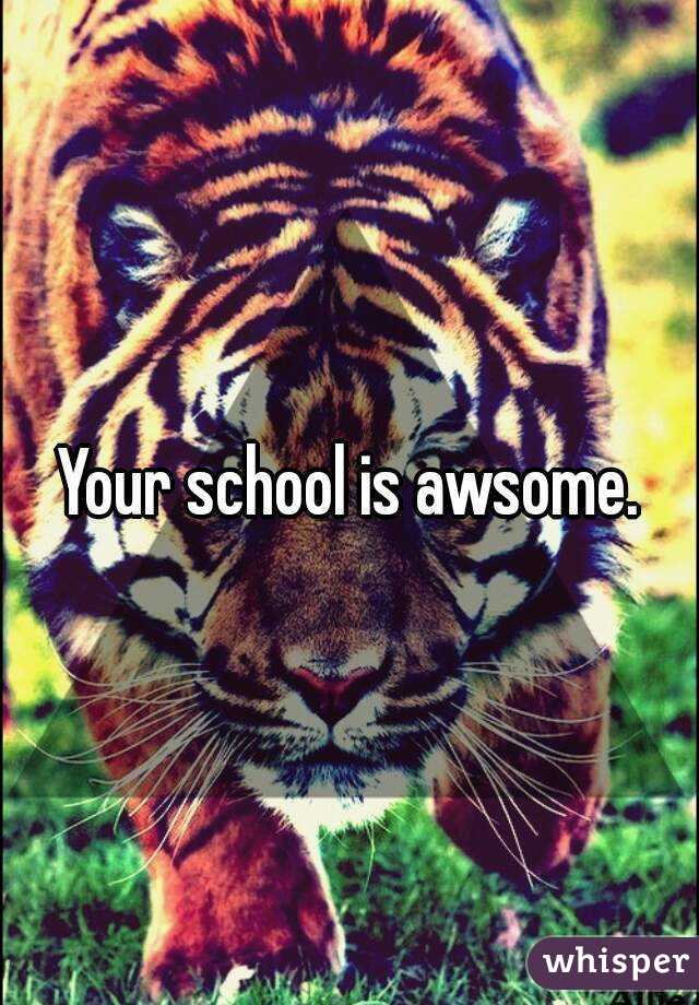 Your school is awsome.