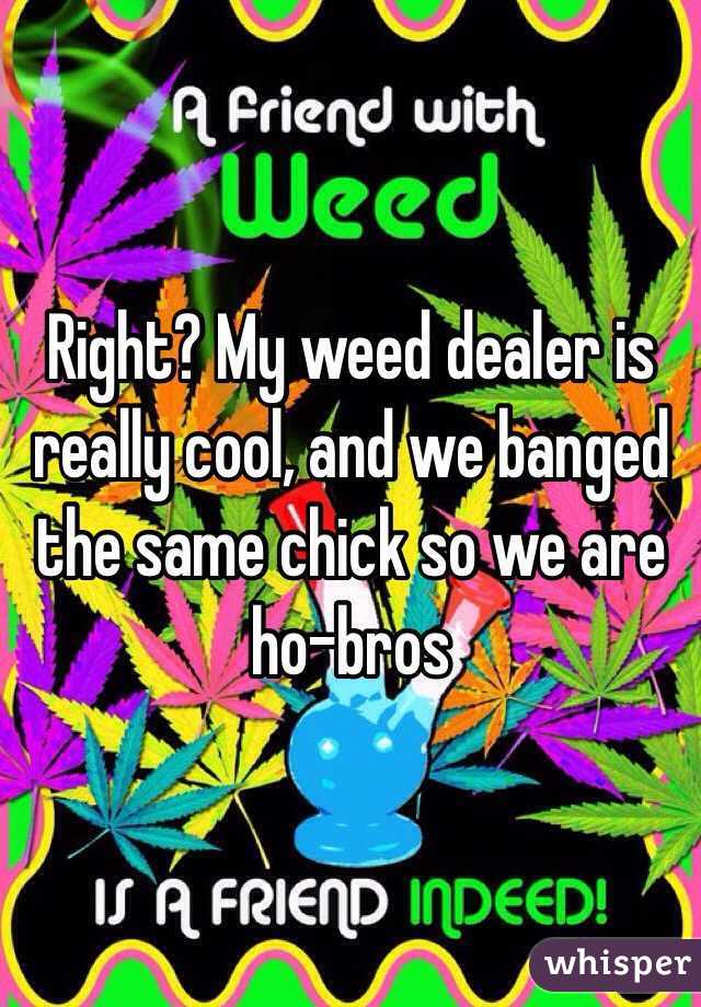 Right? My weed dealer is really cool, and we banged the same chick so we are ho-bros 