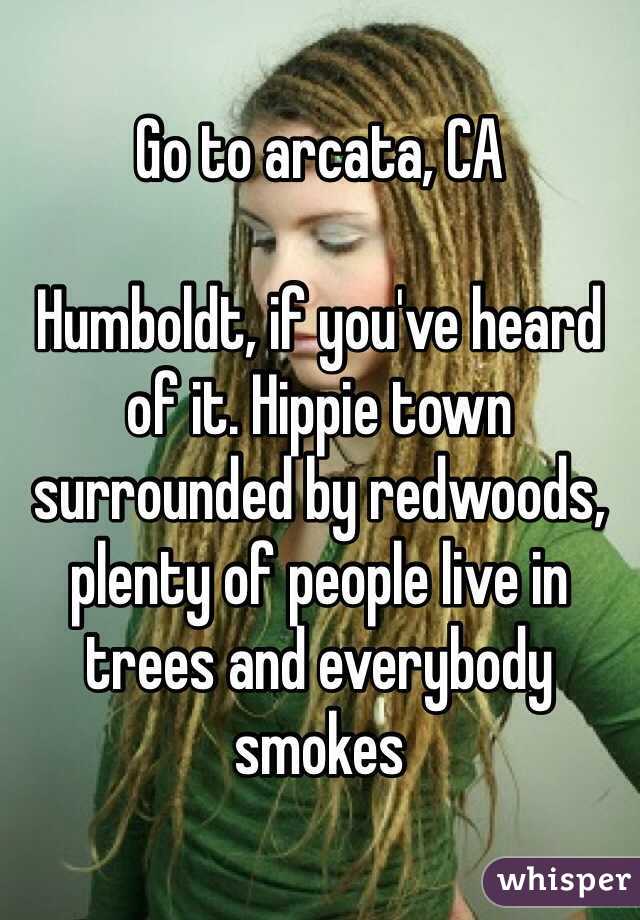 Go to arcata, CA

Humboldt, if you've heard of it. Hippie town surrounded by redwoods, plenty of people live in trees and everybody smokes