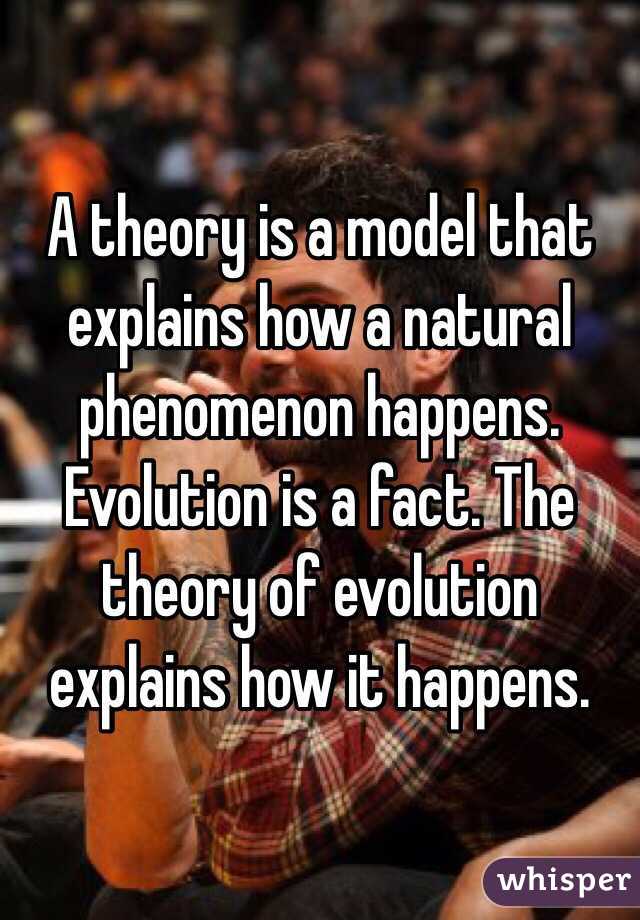 A theory is a model that explains how a natural phenomenon happens.  Evolution is a fact. The theory of evolution explains how it happens. 