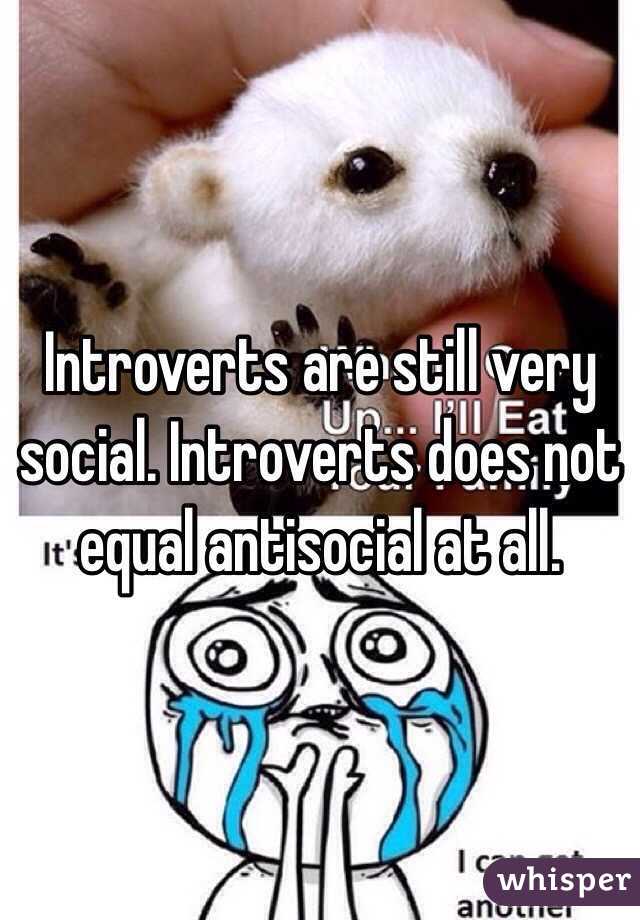 Introverts are still very social. Introverts does not equal antisocial at all. 