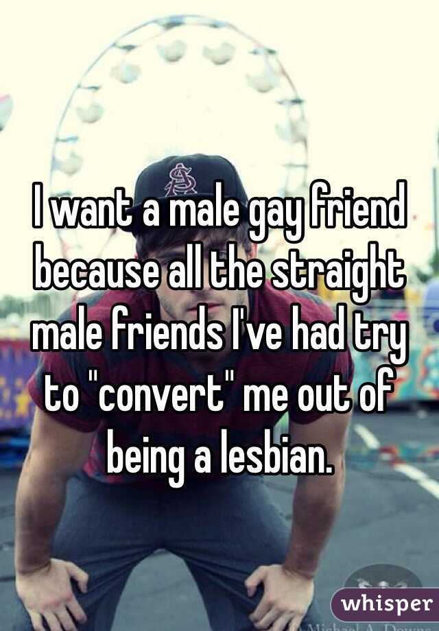 I want a male gay friend because all the straight male friends I've had try to "convert" me out of being a lesbian.