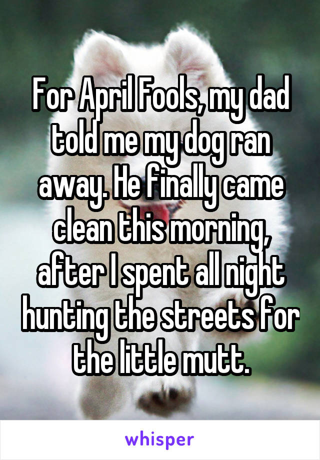 For April Fools, my dad told me my dog ran away. He finally came clean this morning, after I spent all night hunting the streets for the little mutt.
