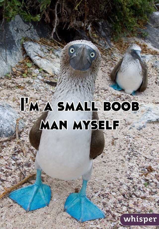 I'm a small boob man myself 