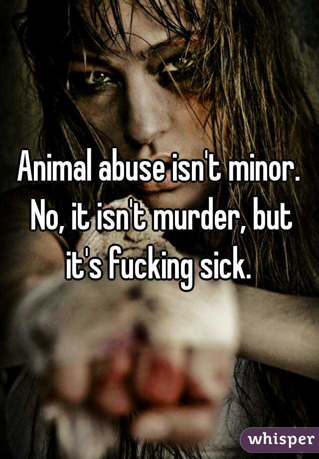Animal abuse isn't minor. No, it isn't murder, but it's fucking sick. 