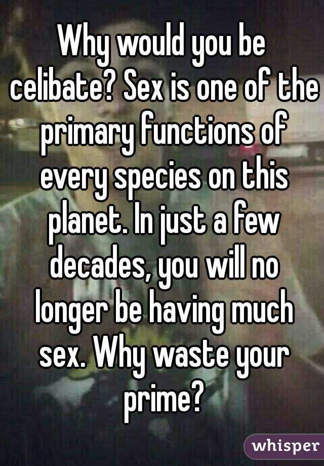 Why would you be celibate? Sex is one of the primary functions of every species on this planet. In just a few decades, you will no longer be having much sex. Why waste your prime?