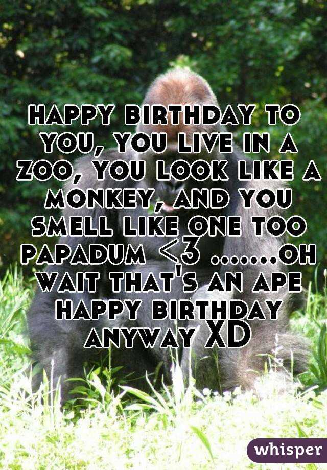 happy birthday to you, you live in a zoo, you look like a monkey, and you smell like one too papadum <3 .......oh wait that's an ape happy birthday anyway XD