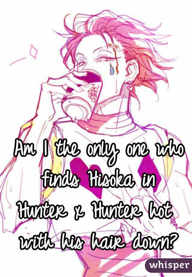 Am I the only one who finds Hisoka in Hunter x Hunter hot with his hair