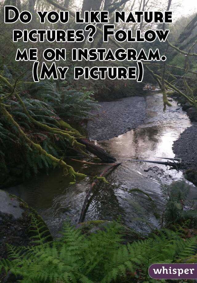 Do you like nature pictures? Follow me on instagram.
(My picture)