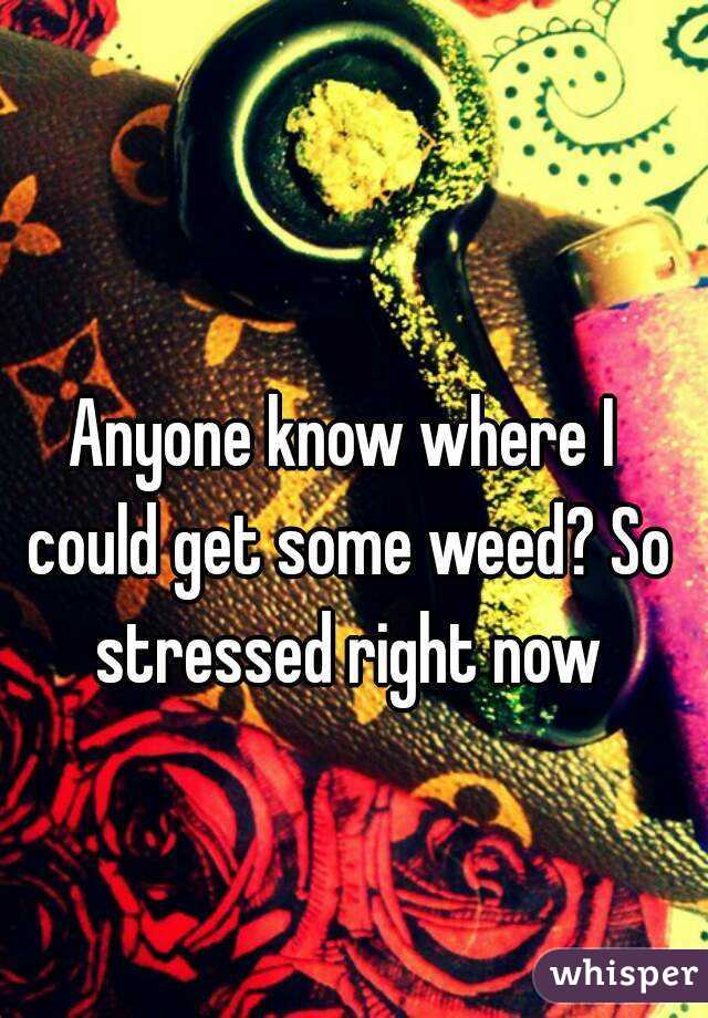 Anyone know where I could get some weed? So stressed right now