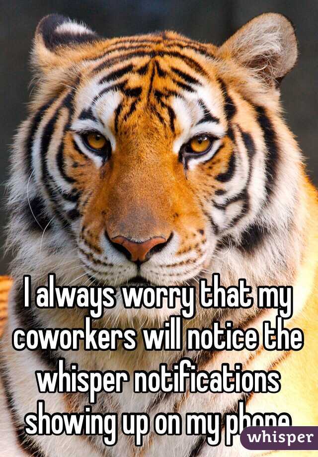 I always worry that my coworkers will notice the whisper notifications showing up on my phone