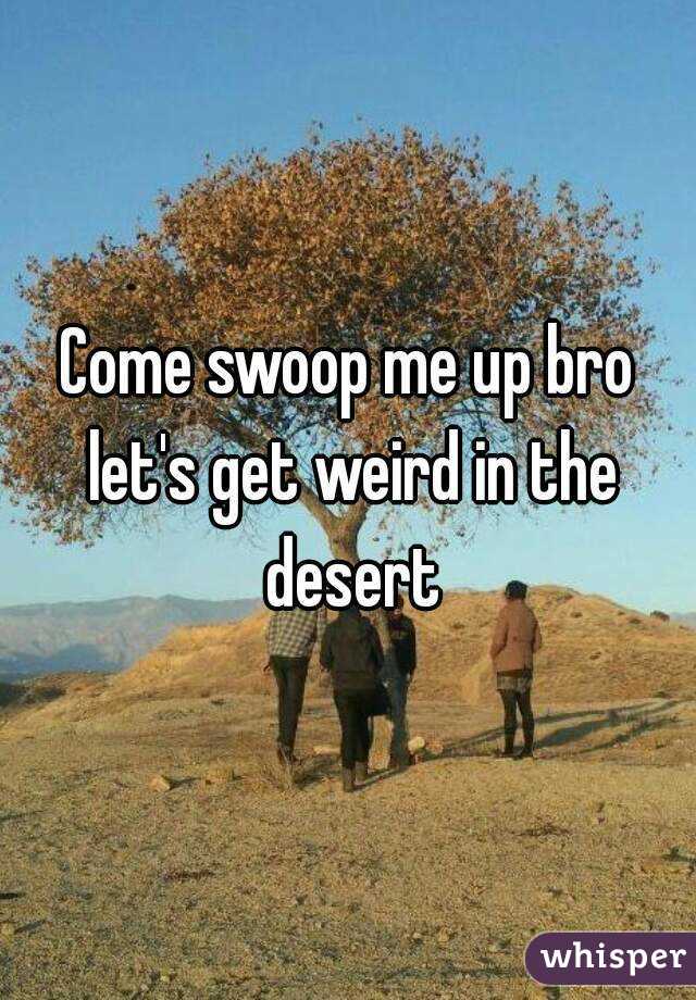 Come swoop me up bro let's get weird in the desert