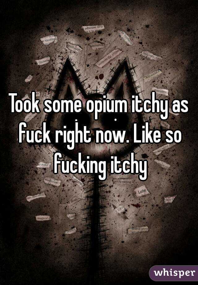 Took some opium itchy as fuck right now. Like so fucking itchy
