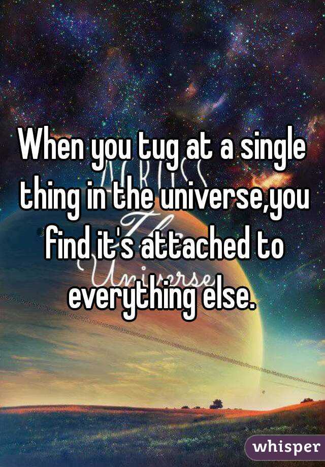 When you tug at a single thing in the universe,you find it's attached to everything else. 