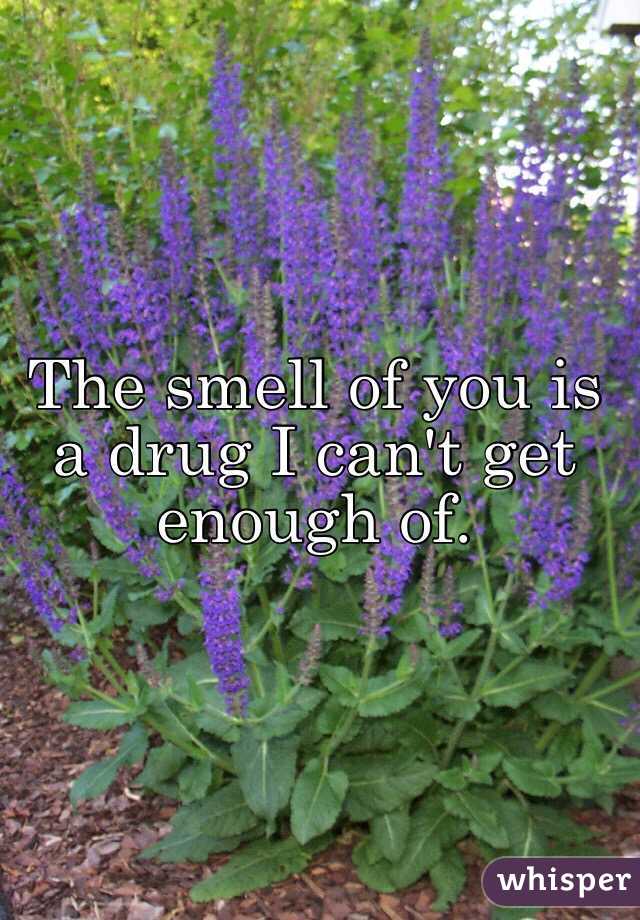 The smell of you is a drug I can't get enough of.