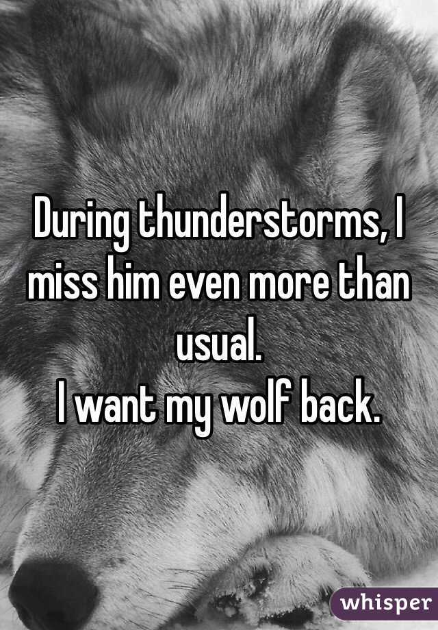 During thunderstorms, I miss him even more than usual.
I want my wolf back.