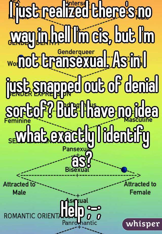 I just realized there's no way in hell I'm cis, but I'm not transexual. As in I just snapped out of denial sortof? But I have no idea what exactly I identify as?

Help ;-;