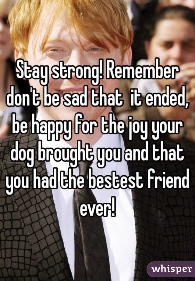 Stay strong! Remember don't be sad that  it ended, be happy for the joy your dog brought you and that you had the bestest friend ever! 