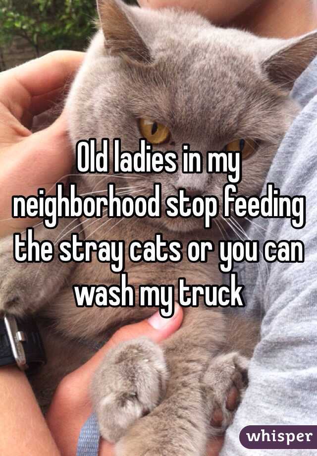 Old ladies in my neighborhood stop feeding the stray cats or you can wash my truck