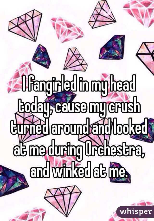 I fangirled in my head today, cause my crush turned around and looked at me during Orchestra, and winked at me.