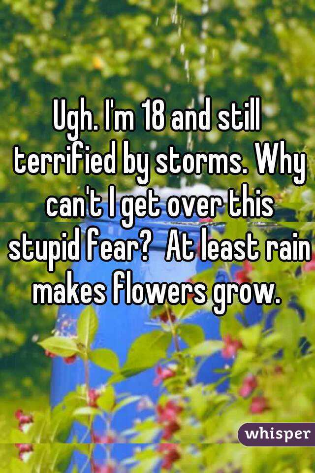 Ugh. I'm 18 and still terrified by storms. Why can't I get over this stupid fear?  At least rain makes flowers grow. 