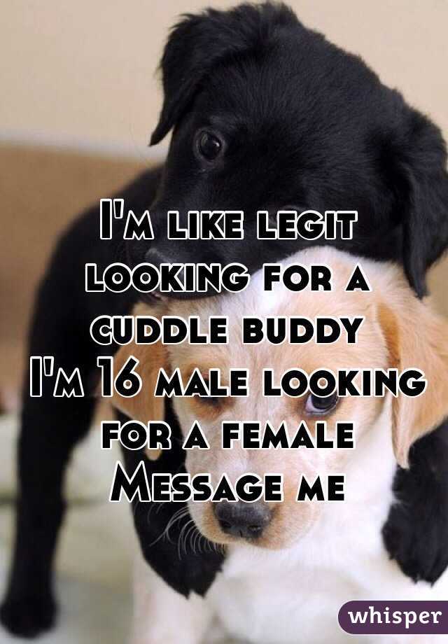 I'm like legit looking for a cuddle buddy 
I'm 16 male looking for a female
Message me