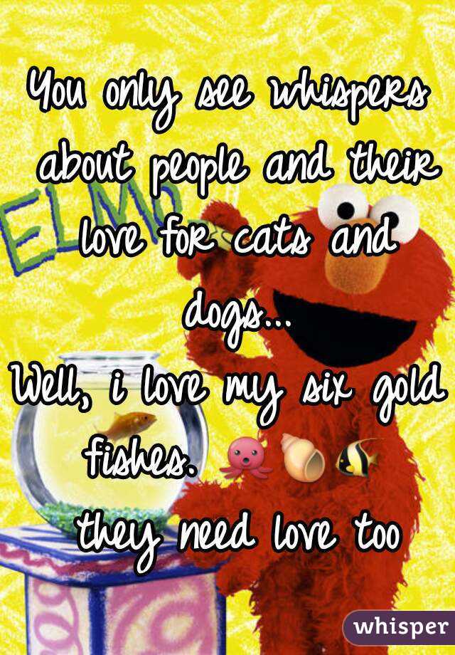 You only see whispers about people and their love for cats and dogs...
Well, i love my six gold fishes. 🐙🐚🐠 they need love too