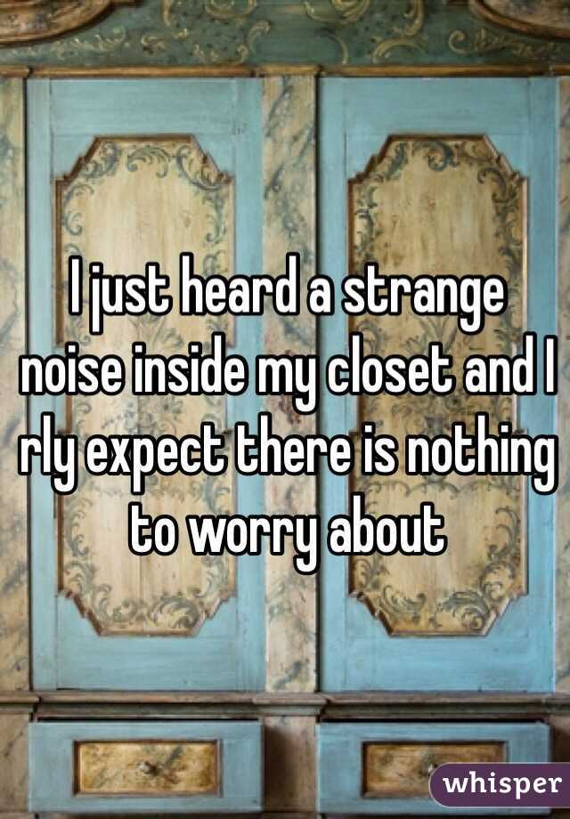 I just heard a strange noise inside my closet and I rly expect there is nothing to worry about
