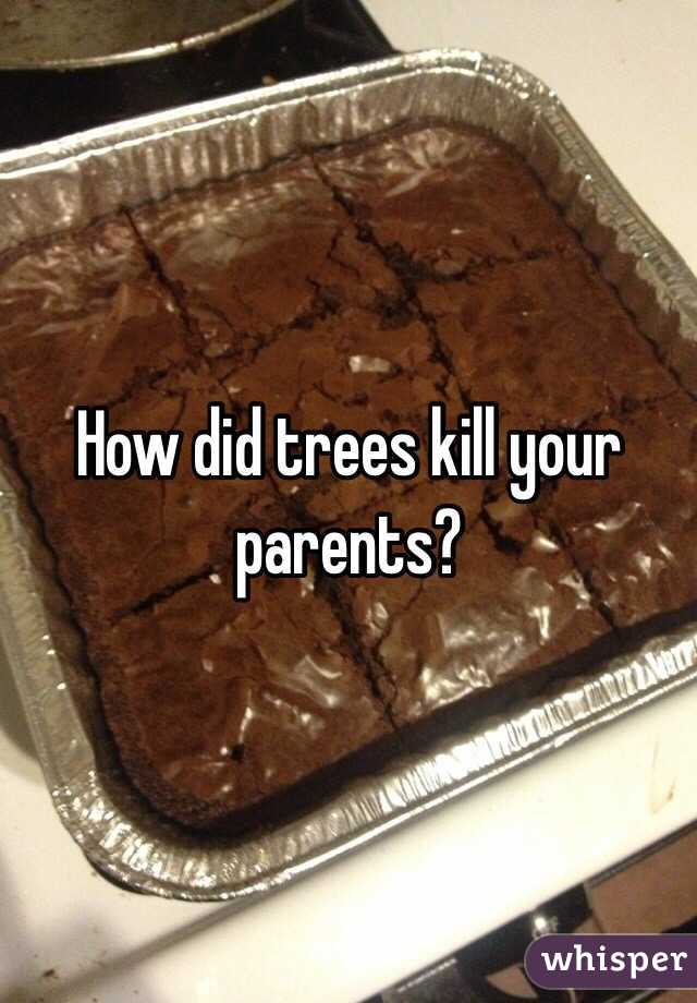 How did trees kill your parents?