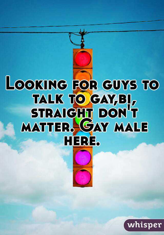 Looking for guys to talk to gay,bi, straight don't matter. Gay male here. 