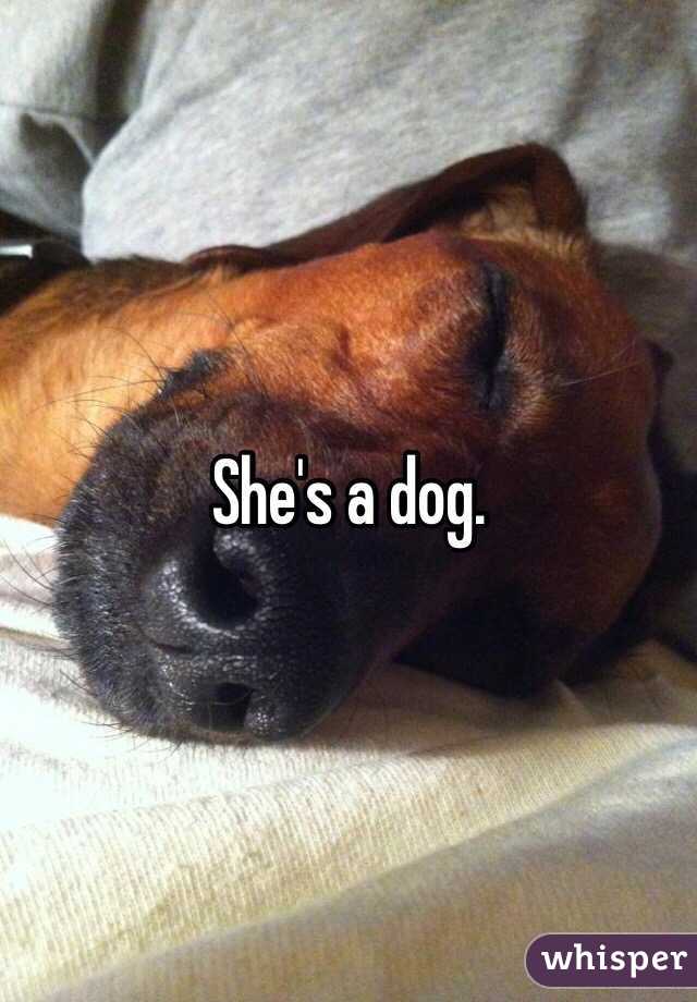 She's a dog. 