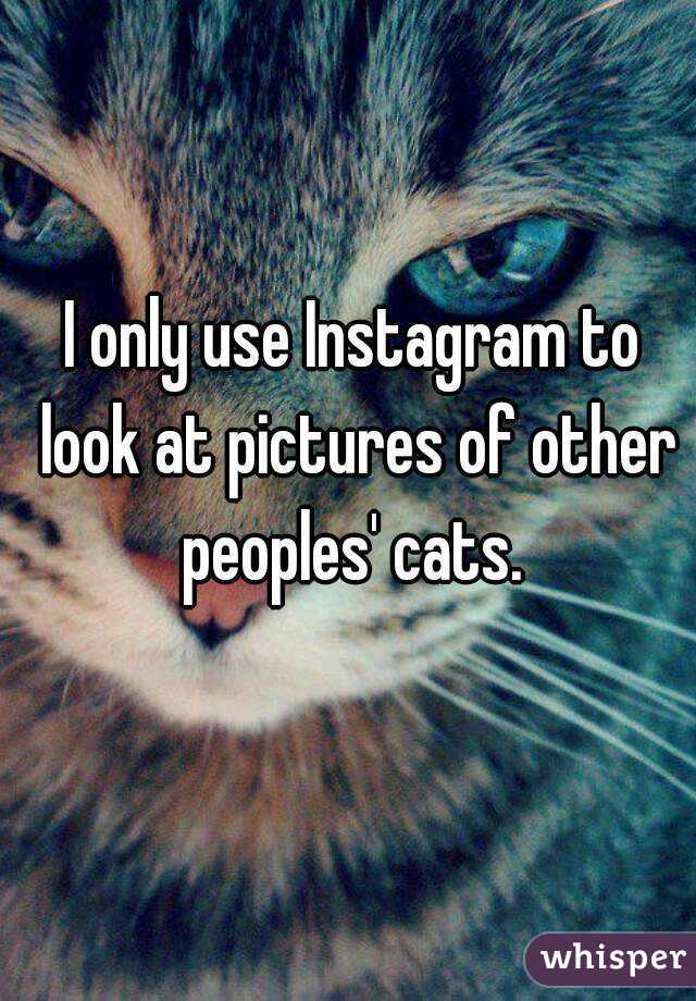 I only use Instagram to look at pictures of other peoples' cats. 