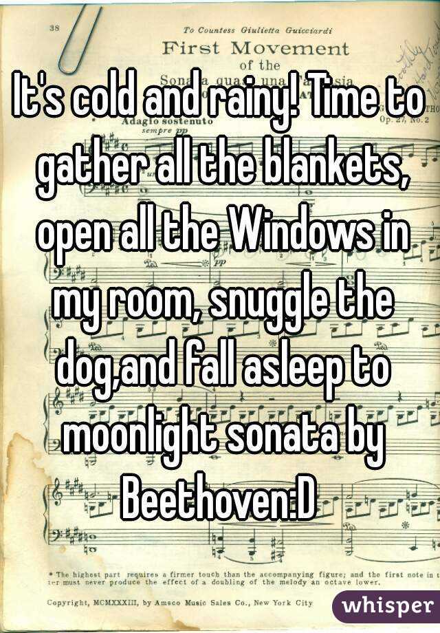 It's cold and rainy! Time to gather all the blankets, open all the Windows in my room, snuggle the dog,and fall asleep to moonlight sonata by Beethoven:D 