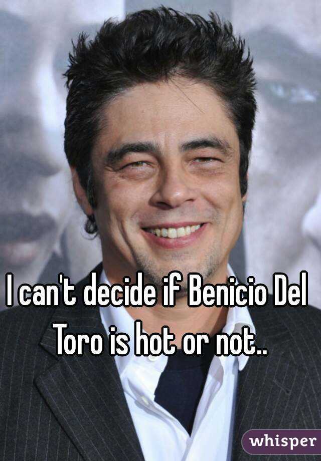 I can't decide if Benicio Del Toro is hot or not..