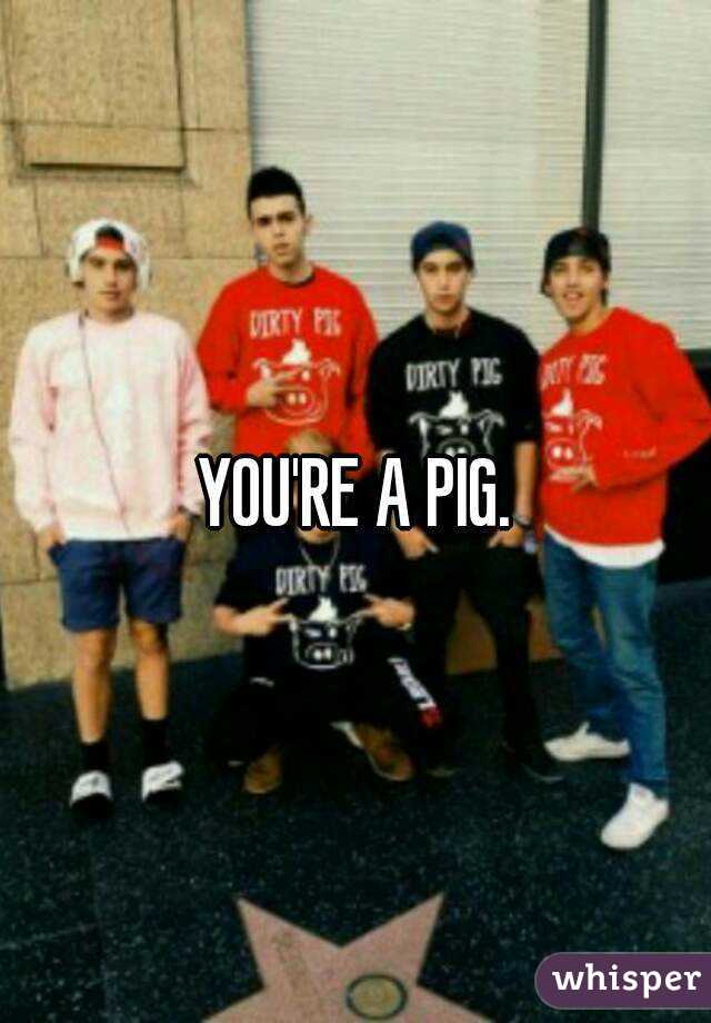 YOU'RE A PIG.