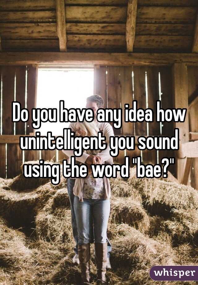 Do you have any idea how unintelligent you sound using the word "bae?" 