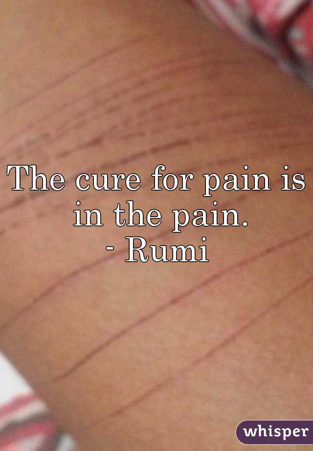 The cure for pain is in the pain.
- Rumi