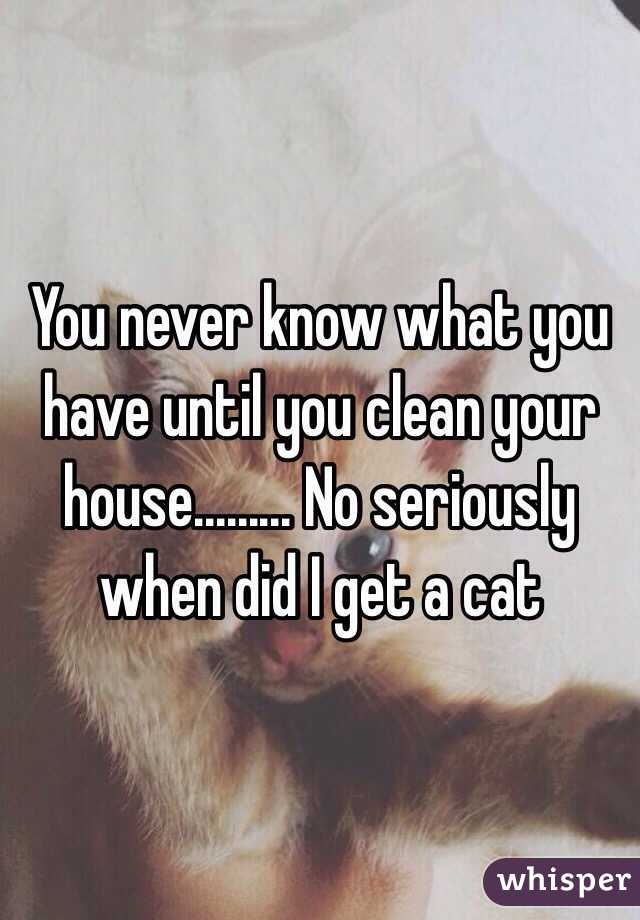 You never know what you have until you clean your house......... No seriously when did I get a cat