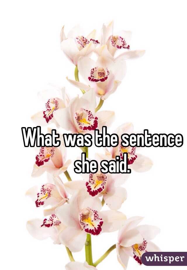 What was the sentence she said. 