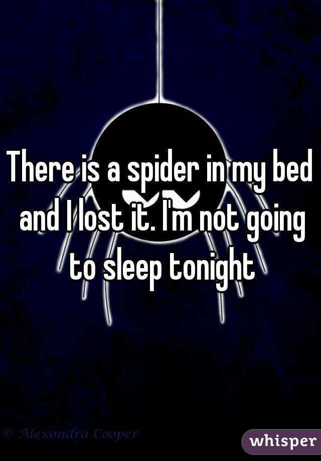 There is a spider in my bed and I lost it. I'm not going to sleep tonight