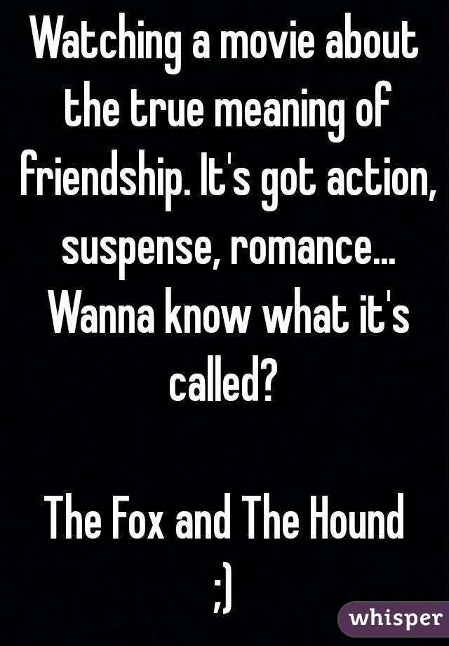 Watching a movie about the true meaning of friendship. It's got action, suspense, romance... Wanna know what it's called? 

The Fox and The Hound
;)
