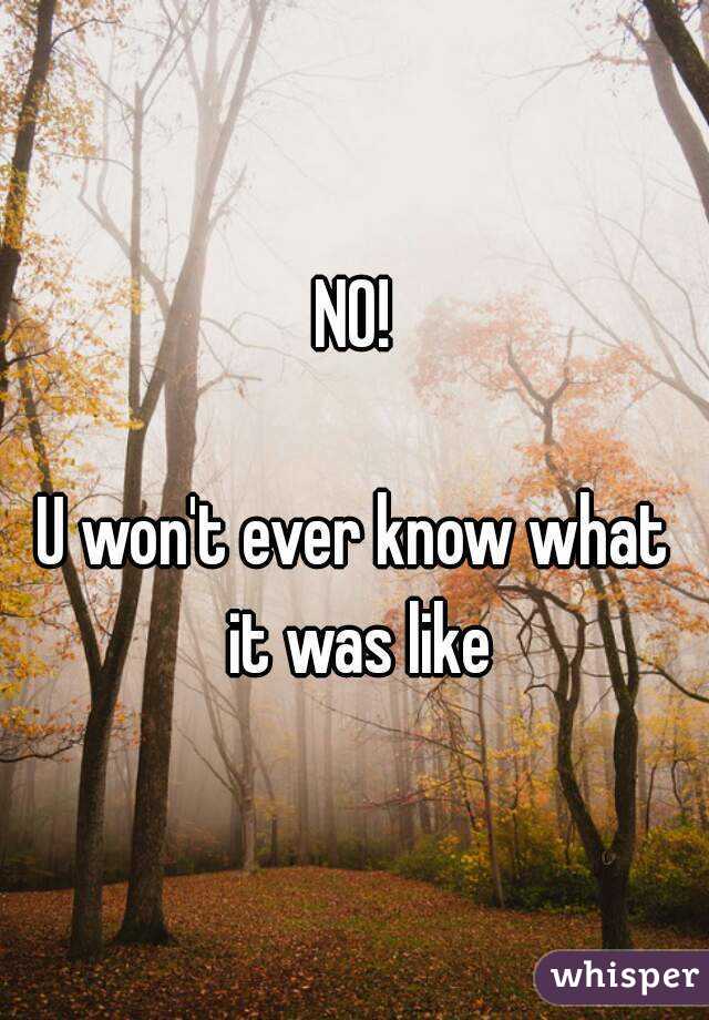 NO!

U won't ever know what it was like